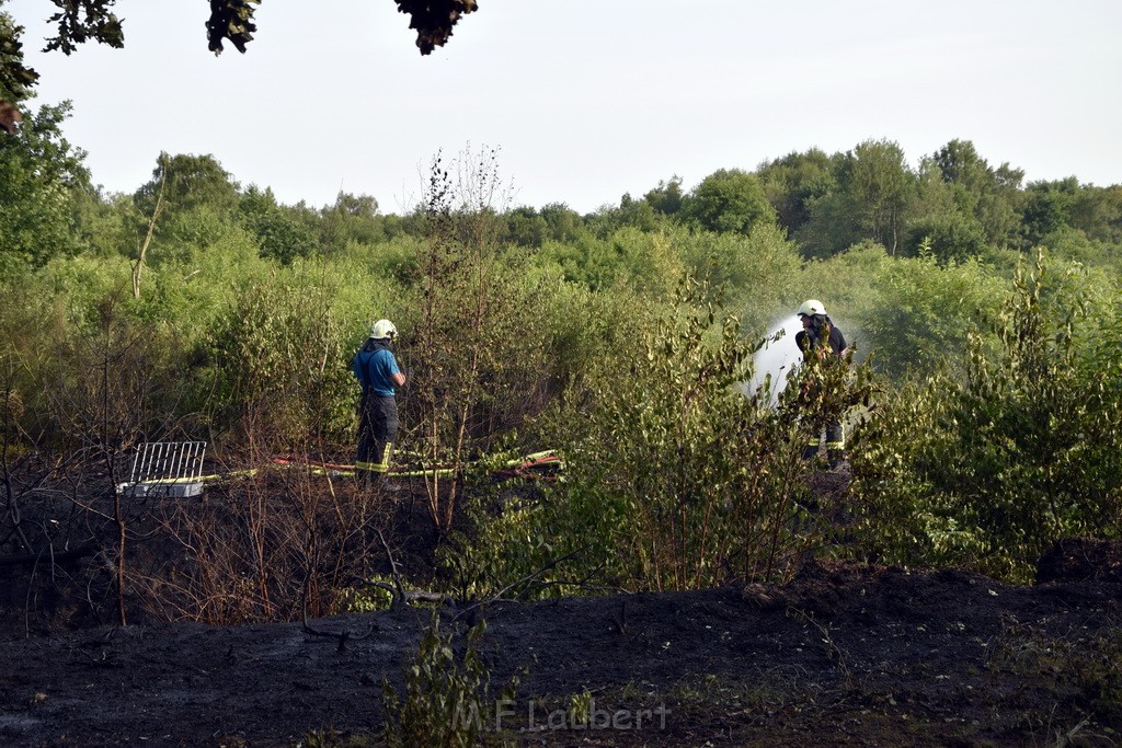 Waldbrand Koeln Hoehenhaus Hoehenfelder Mauspfad P094.JPG - Miklos Laubert